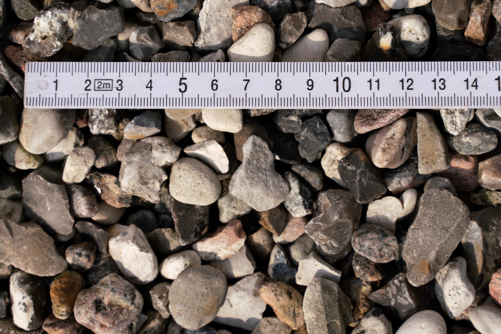 Søsten Ærter, Hvid 10/20 mm