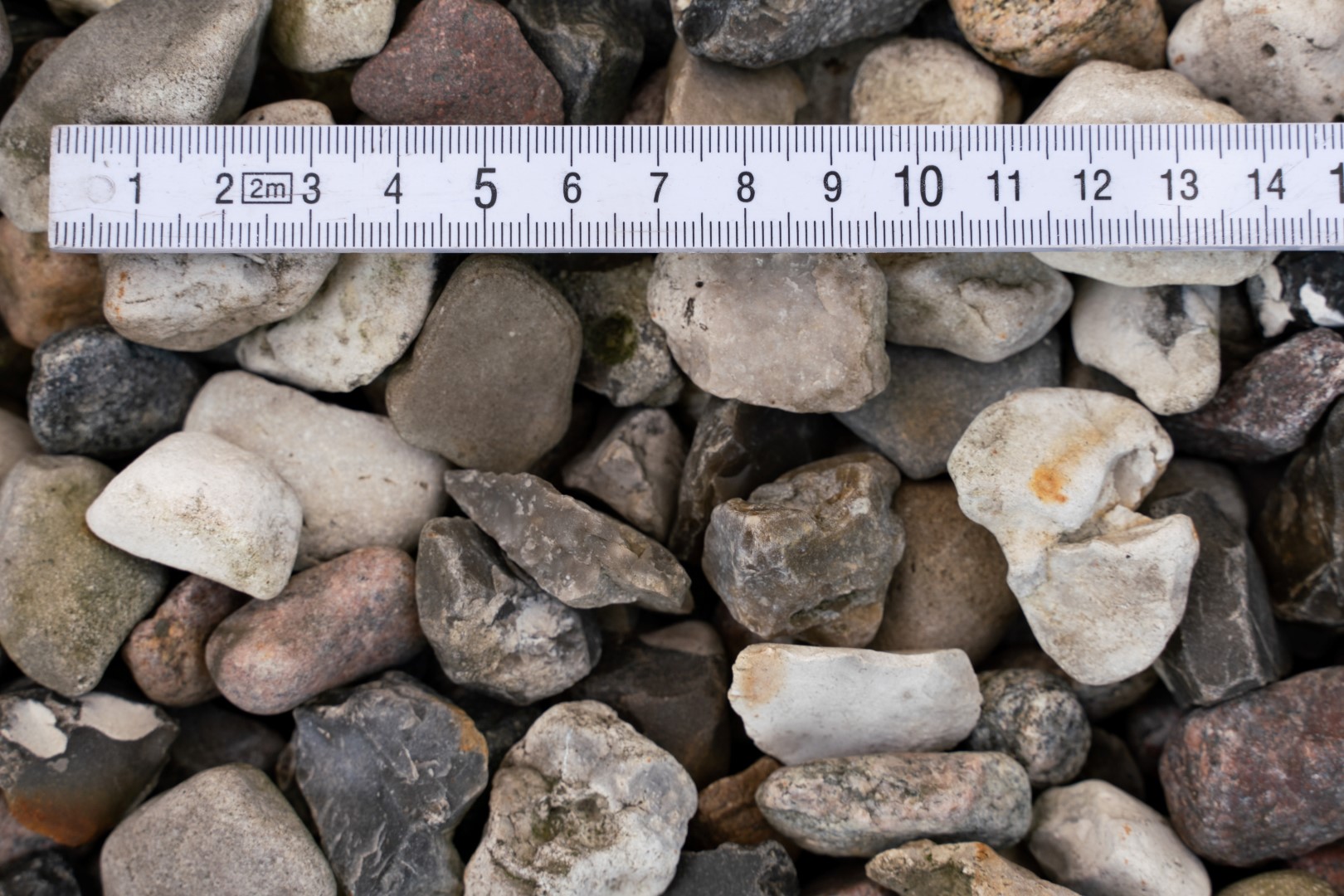 Søsten Nødder, Hvid 16/32 